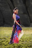 Kajal Stills in Nayak